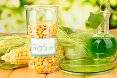 Turmer biofuel availability
