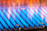 Turmer gas fired boilers